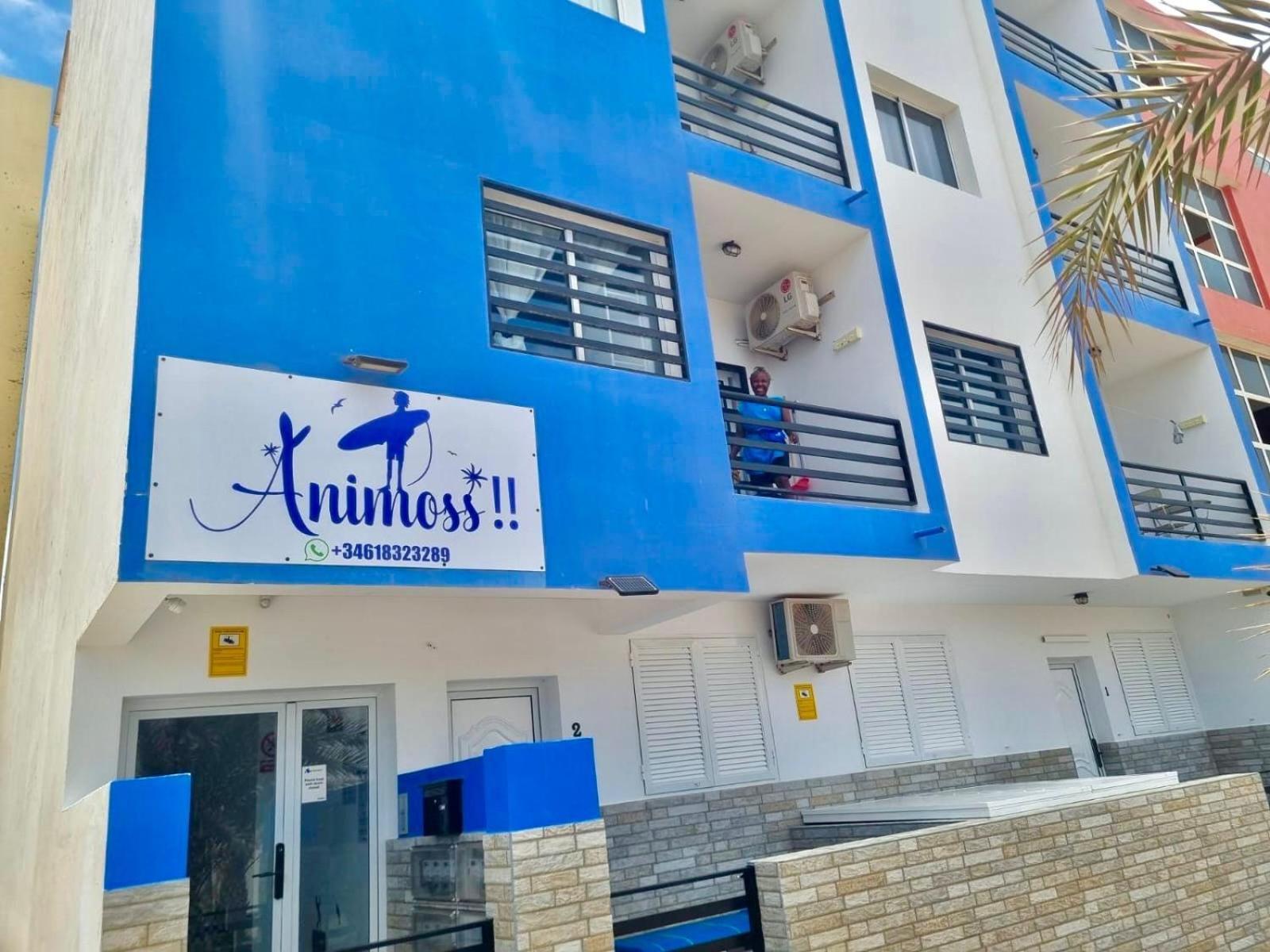 Animos! Apartments - 10 Modern Apartments Near The City & Beach, Perfect For Nomads, Travellers, Families, Watersports! Santa Maria Luaran gambar