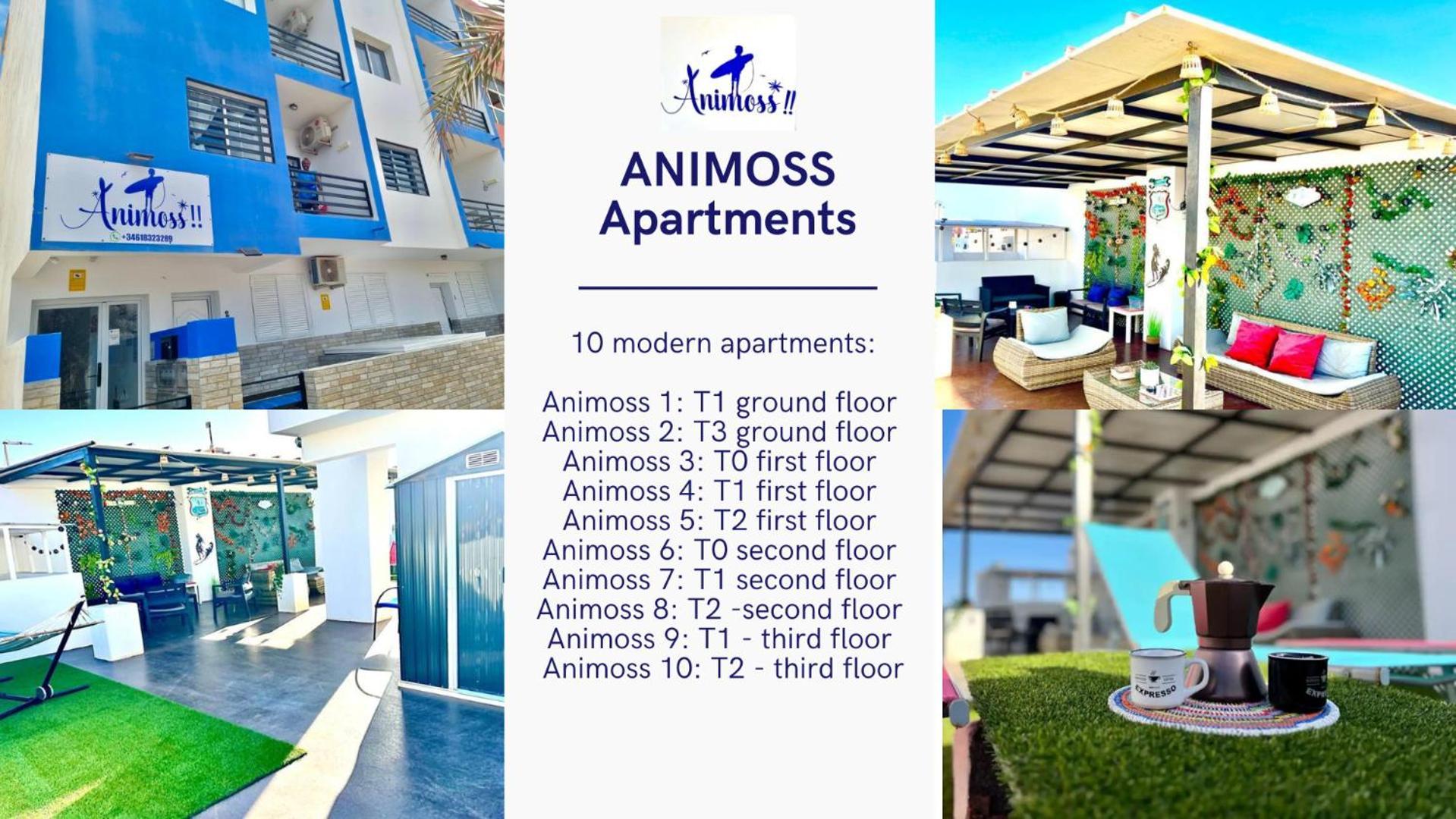Animos! Apartments - 10 Modern Apartments Near The City & Beach, Perfect For Nomads, Travellers, Families, Watersports! Santa Maria Luaran gambar